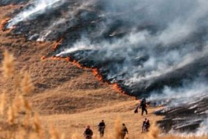 JUDEȚ în FLĂCĂRI. Intervenţii ISU la 13 INCENDII din 12 localităţi