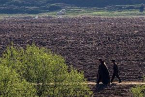 DREPTATE! Sătenii din Nadeş, Arad, şi-au luat satul înapoi