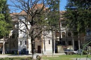 S-a uscat stejarul sădit de Arsenie Boca: ”Este semn rău” 