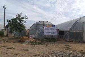 Direcţia Agricolă Dâmboviţa: Schimbări la Programul „Tomata”