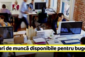 NEAMȚ: Locuri de muncă disponibile pentru bugetari la data de 8 martie