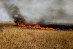 Incendiu in judetul Tulcea. Vezi pentru ce intervin pompierii (galerie foto+video)