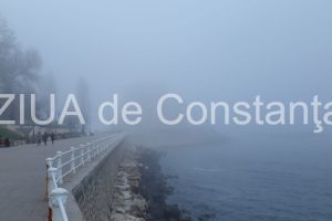 Cod galben de ceata in judetul Constanta