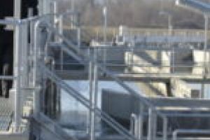 Societatea Aquacaraş, sancţionată pentru bomba ecologică de pe râul Timiş