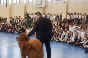 Boss, un câine de ţinut minte!
