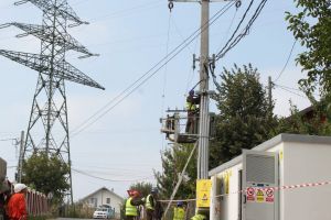 Delgaz Grid, investiţii de   peste 12 milioane de lei în 2019 pentru modernizarea distribuţiei de energie din judeţul Botoşani