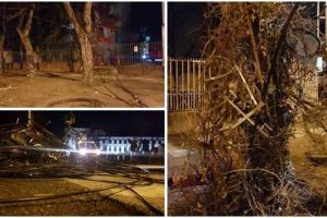 Timişoara fără cabluri! Ghilotina a revenit lângă primărie, continuă tăierea firelor în tot centrul
