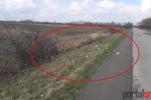 FOTO&VIDEO. Primele imagini de la locul în care a fost găsit cadavrul fetei ucise în Satu Mare 