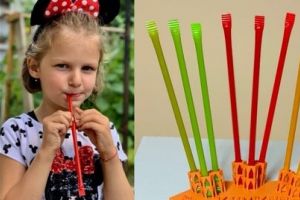 Zumzee Sticks – Sibienii de la Bradu care produc dulciuri bio cu miere, unice în Europa