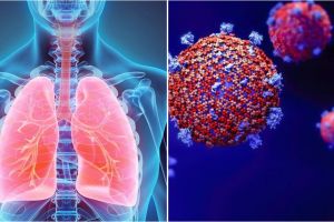 Cum se răspândeşte coronavirusul în organism şi ce organe atacă