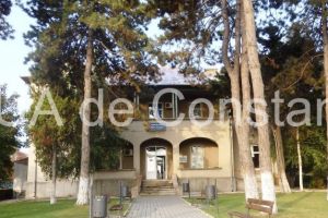 Cui a concesionat Primaria Techirghiol serviciul pentru gestionarea cainilor fara stapan (document) 