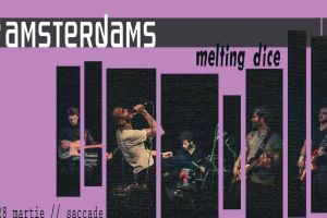 Concert The Amsterdams şi Melting Dice la Timişoara
