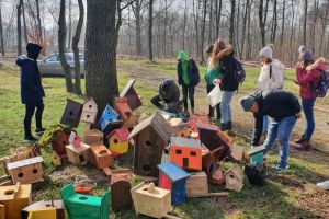 Peste 70 de elevi de la Bilca cu construit căsuţe pentru păsărele