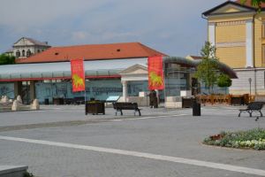 Muzeul Principia ÎNCHIS până în 22 martie. Program NORMAL la Bazinul Olimpic din Alba Iulia. Recomandări pentru cetăţeni