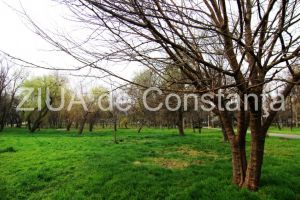 Fotoreportaj: Imaginile din Parcul Tabacarie de la inceput de martie (galerie foto)
