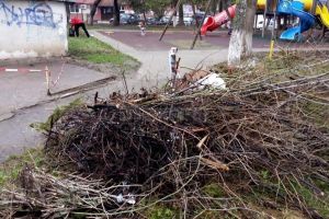 Campanie de primăvară de colectare a deşeurilor rezultate din toaletarea arborilor, gardului ...
