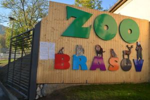 Zoo Braşov nu se închide, dar se iau măsuri de prevenţie