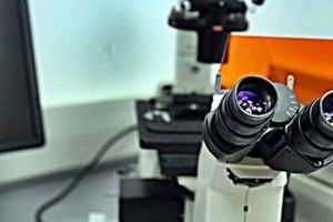 Suspect de coronavirus la Timişoara. Un bărbat care s-a întors din Germania este internat la Spitalul Militar