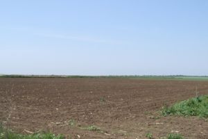 Un investitor vrea sa construiasca o ferma agricola la Nicolae Balcescu