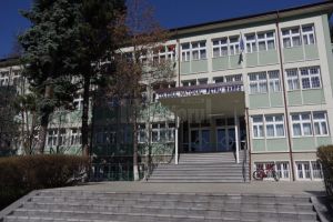 Pregătire gratuită la limba franceză, la Colegiul ”Petru Rareş”, pentru admiterea la ...