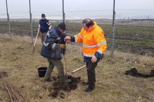 Gheorghe Flutur a dat startul campanie de plantare de copaci în judeţul Suceava