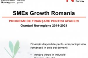 Al doilea apel de propuneri de proiecte  in cadrul programului SMEs Growth Romania