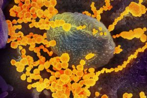 Mesajul prefectului Ion Proca în contextul răspândirii infecţiei cu Coronavirusului SARS CoV-2