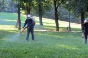 Parcurile Craiovei se închid temporar pentru dezinsecţie terestră în intervalul 12-13.03