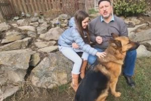 Mini-cursuri online cu tema gestionării stresului provocat de Coronavirus, lansate de Centrul de Cercetări Subacvatice