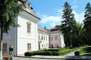 Muzeul Civilizaţiei Dacice şi Romane Deva restricţionează accesul publicului în instituţie pe perioadă nedeterminată