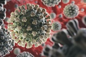 Prahova, faţă în faţă cu virusul Covid-19