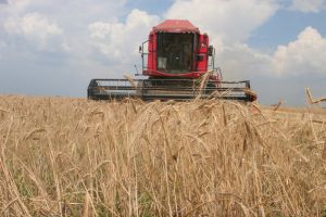 Peste 2.300 de cereri unice pe suprafaţă depuse până joi, 12 martie/ APIA solicită fermierilor să respecte programările