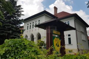 Restricţii de acces şi măsuri de dezinfectare la Direcţia Silvică Suceava şi la ocoalele ...