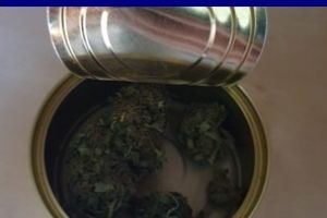 DIICOT:Perchezitii la o societate comerciala care ar fi comercializat cannabis prin intermediul unui site online