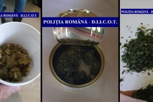 Poliţiştii antidrog au descins la magazinul cu produse din canabis din Oradea. Au fost ridicate mostre din produse