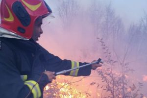 Incendiu de vegetaie între Șirnea şi Peştera
