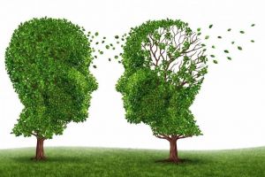 Boala Alzheimer – cauze, manifestări, factori de risc