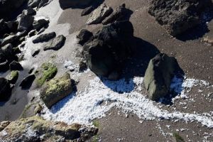Risc de poluare pe plaja din dreptul hotelului Inter Venus, judetul Constanta. Au fost sesizate ABADL si Garda de Mediu (galerie foto)