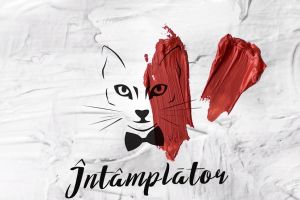 Melodia Zilei:  The Motans - Intamplator | Official Audio