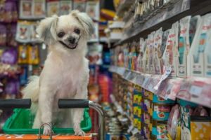 Hală nouă de fabricaţie frană pentru animale de companie, într-o localitate din Mureş