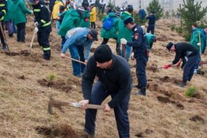 ”Plantăm Fapte bune în România” anulează toate acţiunile de împădurire din această primăvară!
