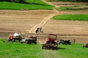 MADR: Modalitatea de organizare a controalelor pe teren, programate in perioada 16 – 31 martie, va fi modificata din cauza coronavirusului