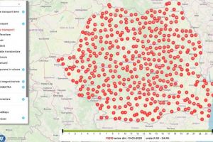 Exploatarea pădurilor, o afacere în vremuri de pandemie – Peste 10.000 de avize date pentru transporturile de lemn