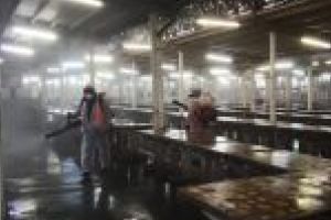 Primăria Craiova: Spitalele sunt pregătite să lupte împotriva COVID-19! Pieţele, dezinfectate. Program restrâns în Târg