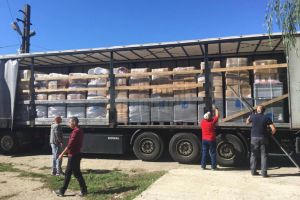 Peste 12 tone de hrană şi produse de îngrijire, donate din Germania pentru adăpostul de ...