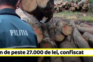 NEAMȚ: Lemn de peste 27.000 de lei, confiscat de poliţişti