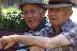 Primăriile din Timiş vin în sprijinul persoanelor vulnerabile. La Şag, Ghiroda şi Traian Vuia bătrânii şi cei care nu se pot deplasa vor primi alimente acasă