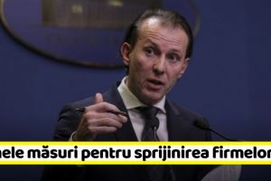 Primele măsuri pentru sprijinirea mediului de afaceri