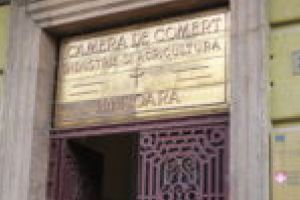 CCIA Timiş solicită Guvernului României măsuri suplimentare pentru a preveni pierderile economice în contextul stării de urgenţă