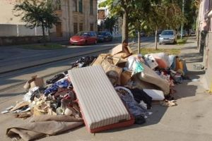 Timişoara are trei firme de curăţenie. Oamenii vor primi saci maro pentru crengi şi frunze